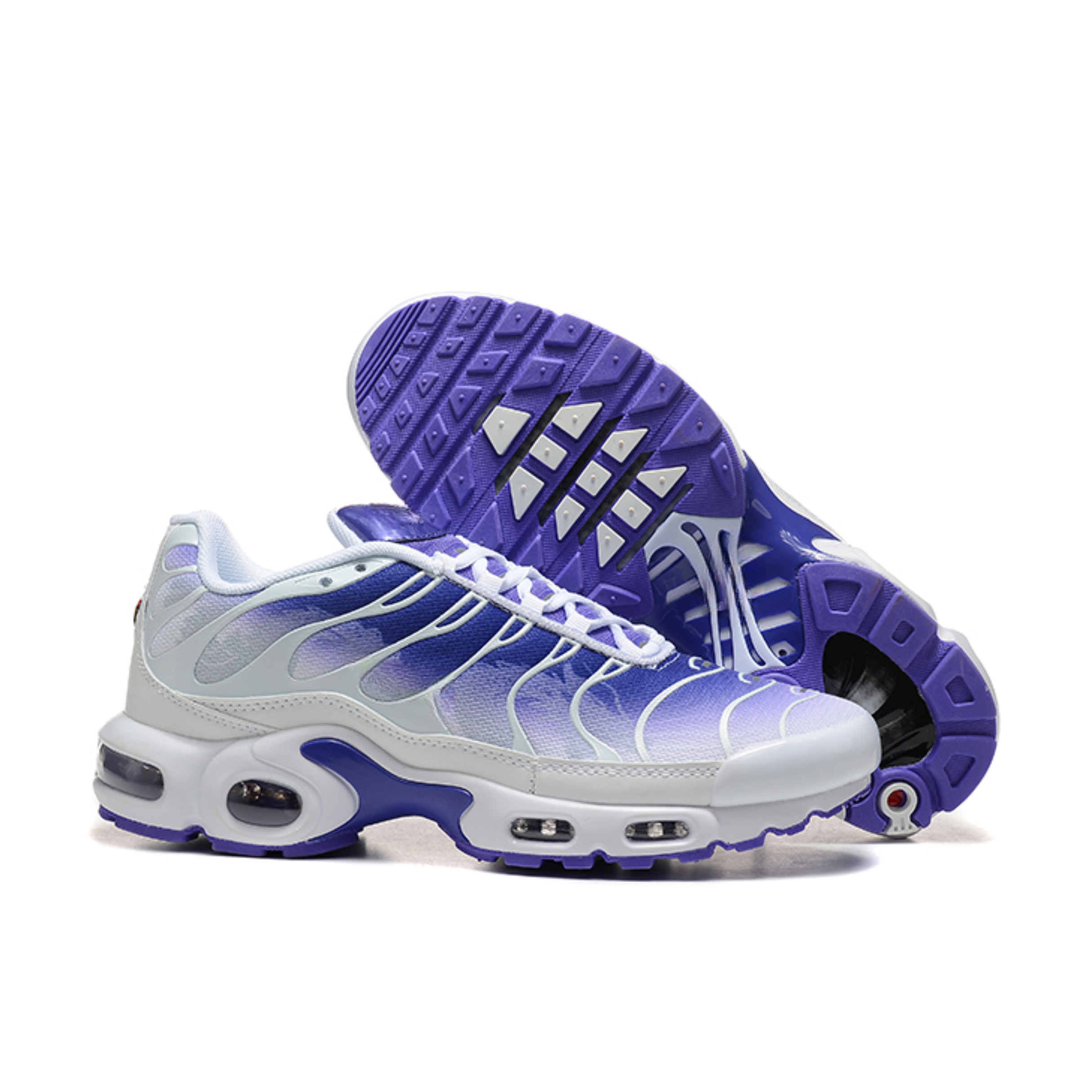 Air Max Plus TN 1 "Purple Dragon"